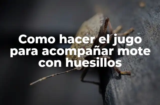 Como Hacer el Jugo para Acompañar Mote con Huesillos