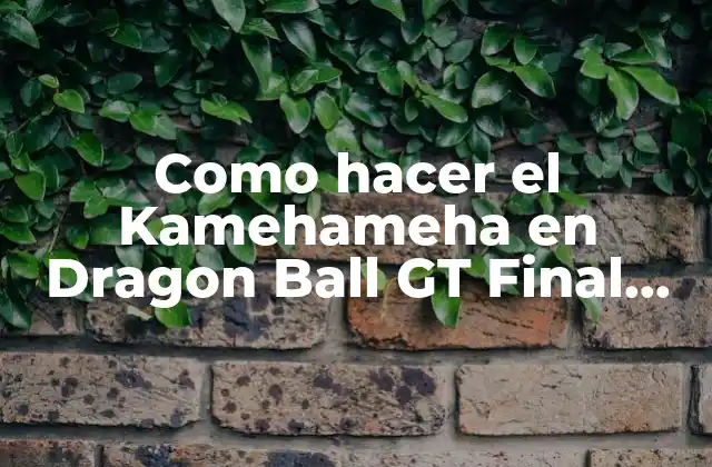 Como Hacer el Kamehameha en Dragon Ball Gt Final Bout
