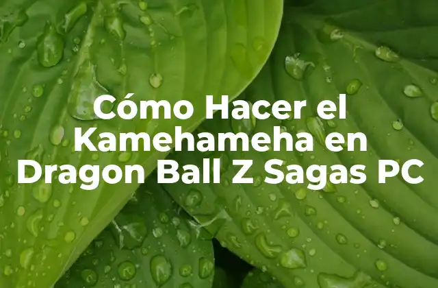 Cómo Hacer el Kamehameha en Dragon Ball Z Sagas Pc