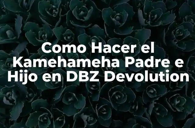 Como Hacer el Kamehameha Padre e Hijo en Dbz Devolution