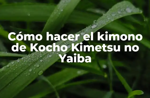 Cómo Hacer el Kimono de Kocho Kimetsu No Yaiba