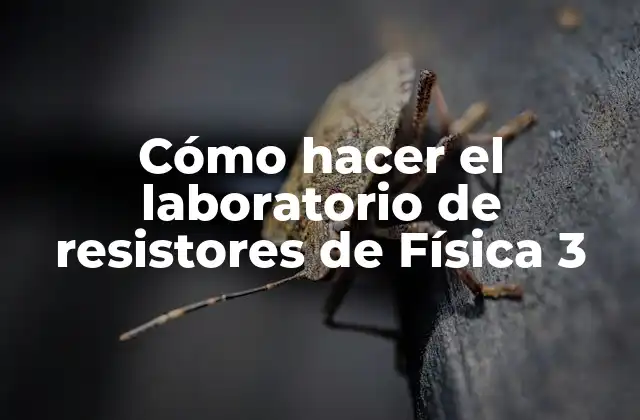 Cómo Hacer el Laboratorio de Resistores de Física 3