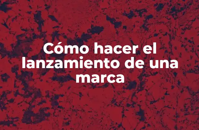 Cómo Hacer el Lanzamiento de una Marca 2 Cómo hacer el lanzamiento de una marca