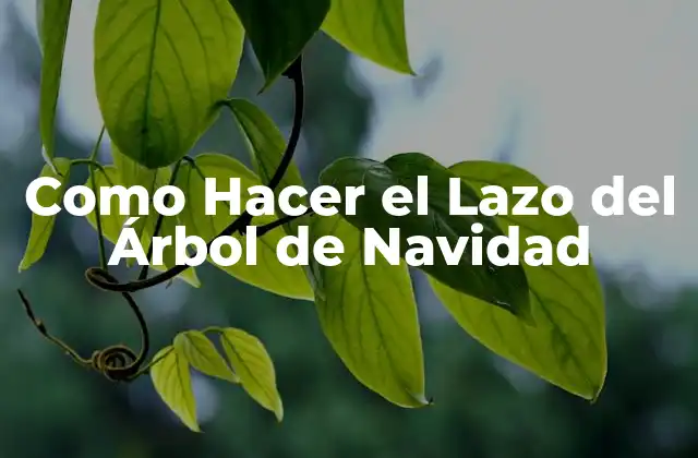 Como Hacer el Lazo Del Árbol de Navidad