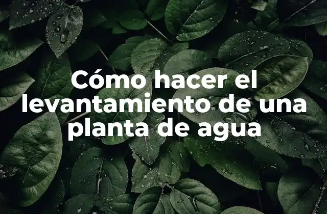 Cómo Hacer el Levantamiento de una Planta de Agua