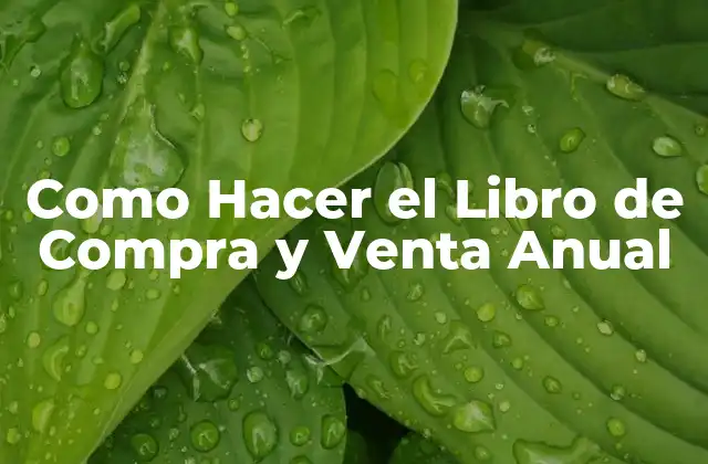 Como Hacer el Libro de Compra y Venta Anual