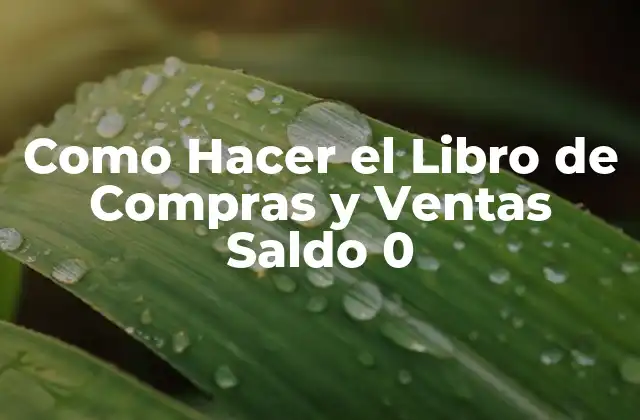 Como Hacer el Libro de Compras y Ventas Saldo 0