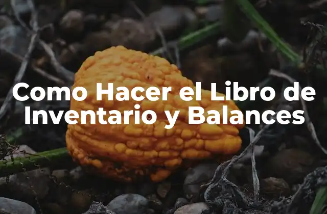 Como Hacer el Libro de Inventario y Balances 2 Como Hacer el Libro de Inventario y Balances