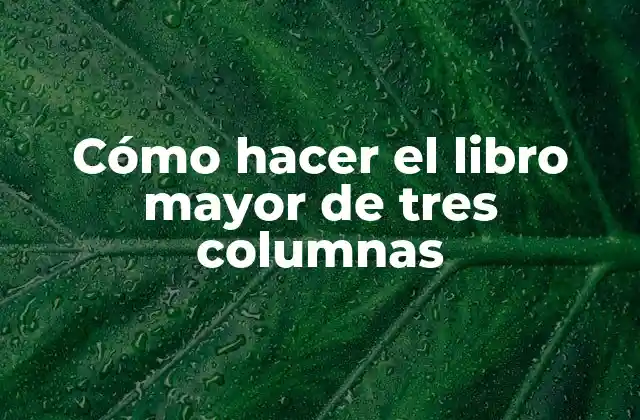 Cómo Hacer el Libro Mayor de Tres Columnas