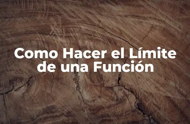 Como Hacer el Límite de una Función 2 ¿Qué es el Límite de una Función?