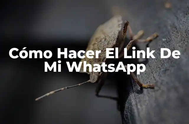 Cómo Hacer el Link de Mi Whatsapp 2 ¿Qué Es Un Enlace De WhatsApp Y Para Qué Sirve?