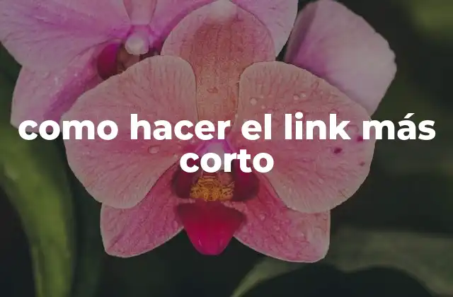 Como Hacer el Link Más Corto