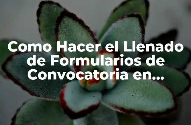Como Hacer el Llenado de Formularios de Convocatoria en Sicoes