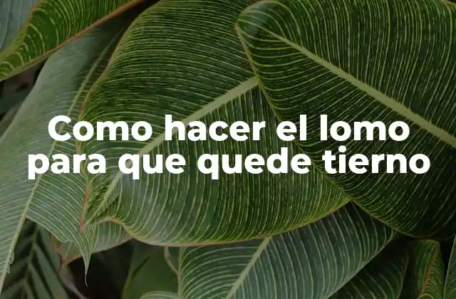 Como Hacer el Lomo para que Quede Tierno