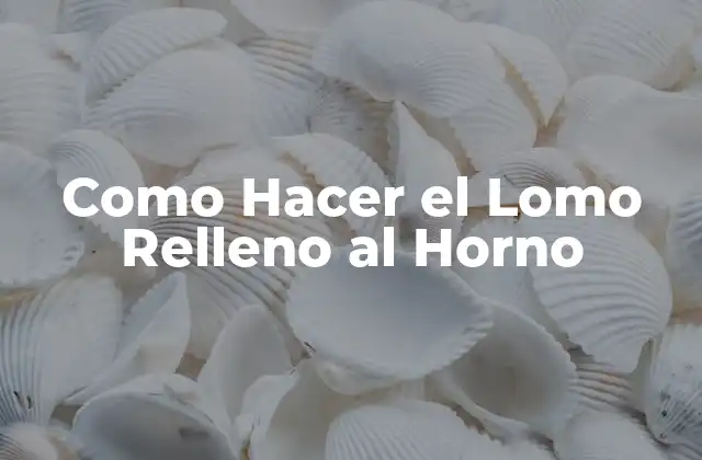 Como Hacer el Lomo Relleno Al Horno