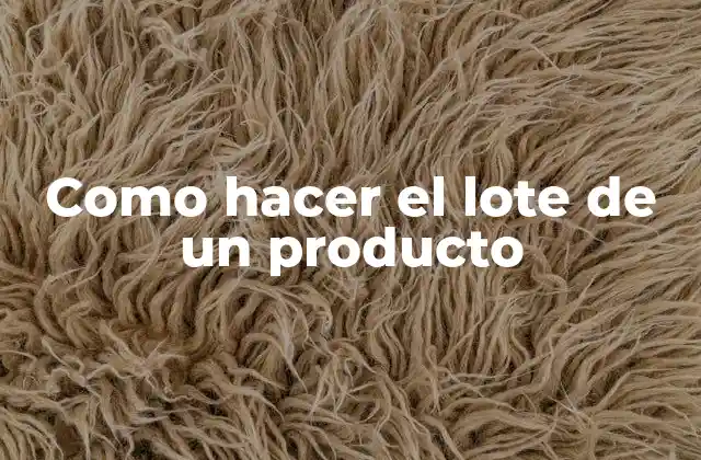 Como Hacer el Lote de un Producto