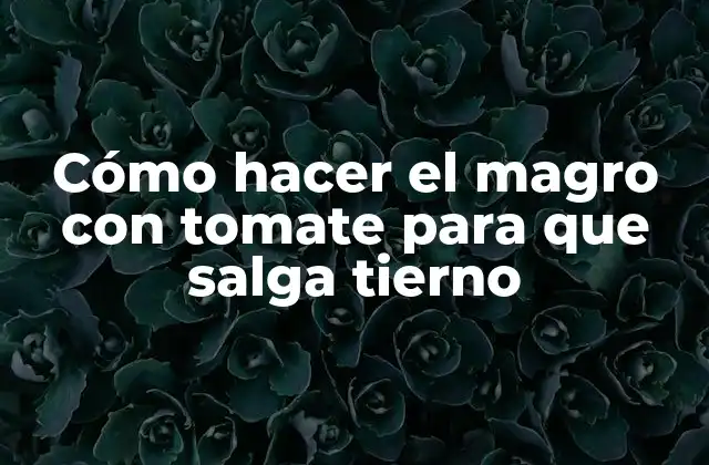 Cómo Hacer el Magro con Tomate para que Salga Tierno