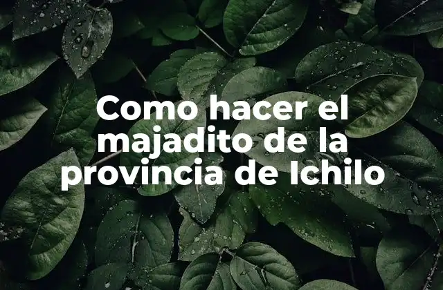 Como Hacer el Majadito de la Provincia de Ichilo