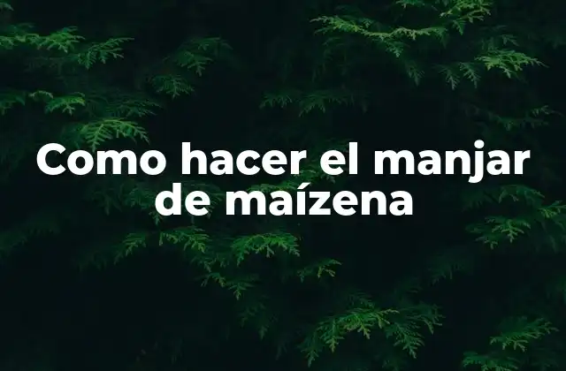Como Hacer el Manjar de Maízena