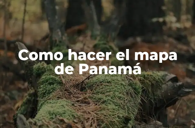 ¿Qué es un mapa de Panamá?