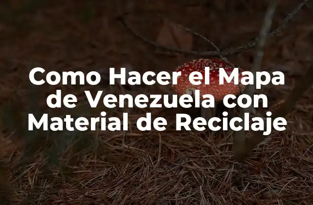 Como Hacer el Mapa de Venezuela con Material de Reciclaje