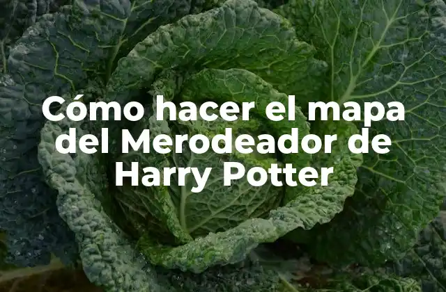 El mapa del Merodeador de Harry Potter
