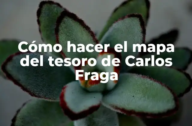 Cómo hacer el mapa del tesoro de Carlos Fraga