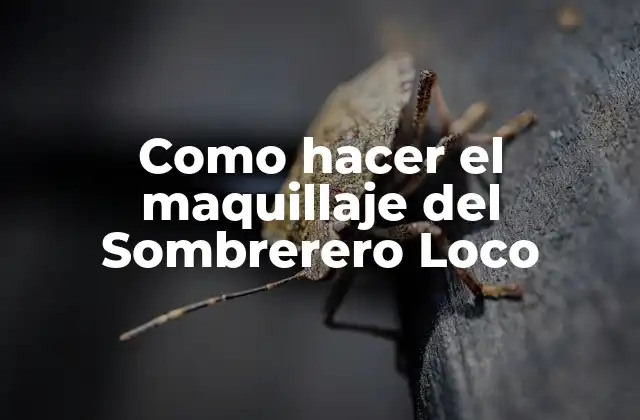 Como Hacer el Maquillaje Del Sombrerero Loco