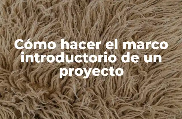 Cómo Hacer el Marco Introductorio de un Proyecto