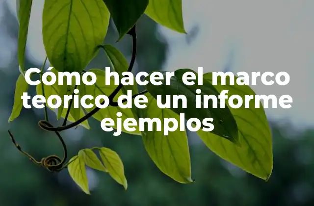 Cómo Hacer el Marco Teorico de un Informe Ejemplos