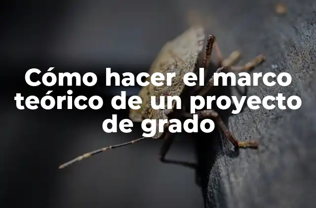 Cómo hacer el marco teórico de un proyecto de grado