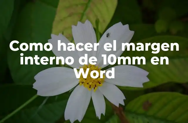 Como Hacer el Margen Interno de 10mm en Word