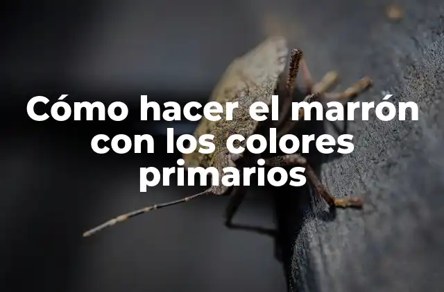 Cómo Hacer el Marrón con los Colores Primarios