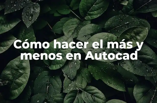 Cómo Hacer el Más y Menos en Autocad
