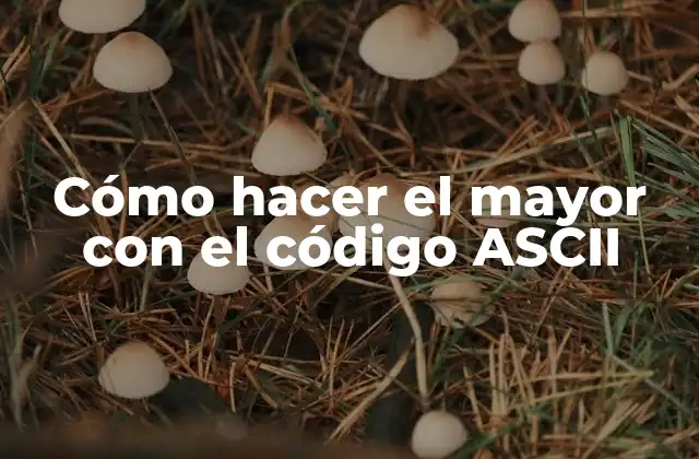 Cómo Hacer el Mayor con el Código Ascii