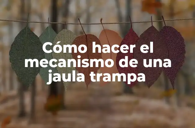 Cómo Hacer el Mecanismo de una Jaula Trampa