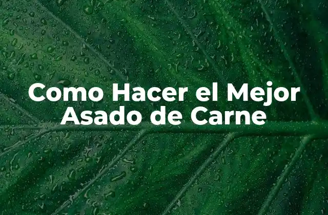 Como Hacer el Mejor Asado de Carne