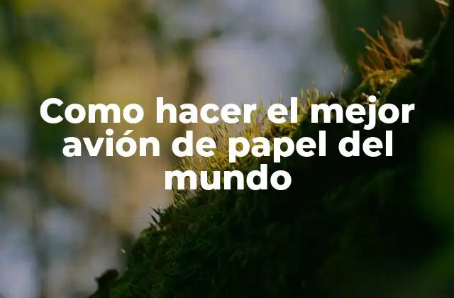 Como Hacer el Mejor Avión de Papel Del Mundo