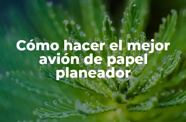 Cómo Hacer el Mejor Avión de Papel Planeador