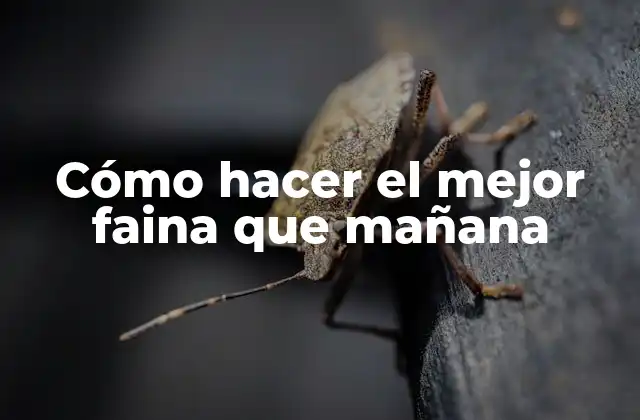 Cómo Hacer el Mejor Faina que Mañana