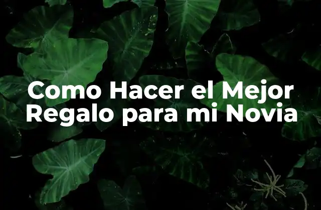 Como Hacer el Mejor Regalo para Mi Novia