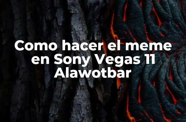 Como Hacer el Meme en Sony Vegas 11 Alawotbar