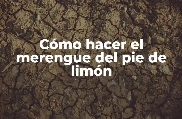 Cómo Hacer el Merengue Del Pie de Limón 2 ¿Qué es el merengue del pie de limón?