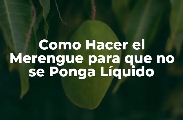 Como Hacer el Merengue para que No Se Ponga Líquido 2 Qué es el Merengue y para qué Sirve