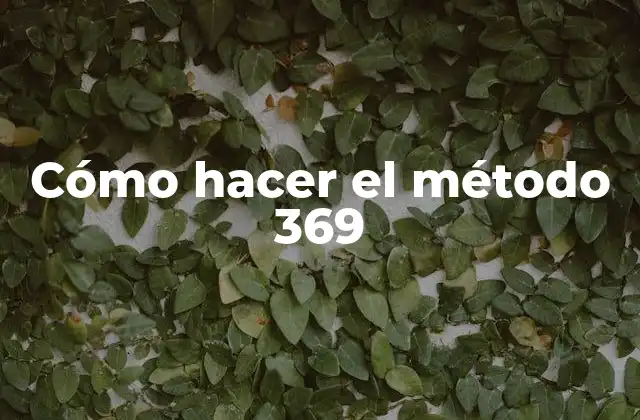 Cómo Hacer el Método 369