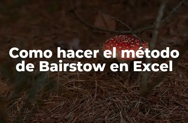 Como Hacer el Método de Bairstow en Excel