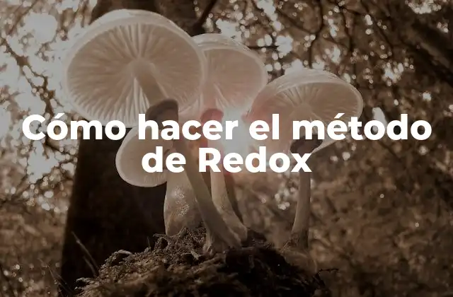 Cómo Hacer el Método de Redox
