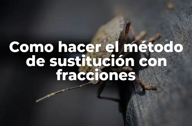 Como Hacer el Método de Sustitución con Fracciones