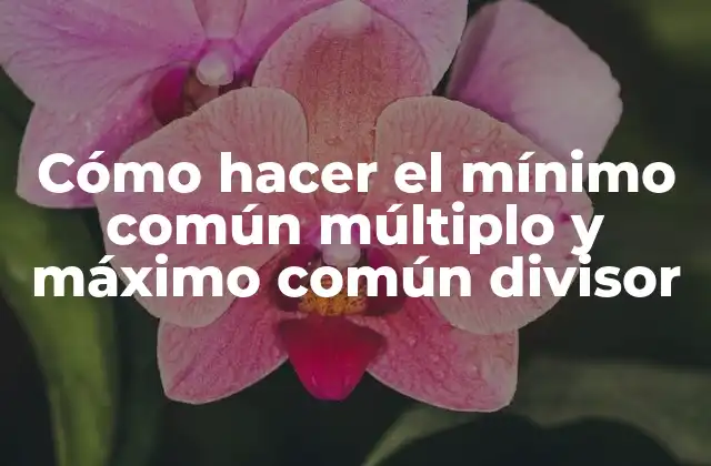 ¿Qué es el Mínimo Común Múltiplo (MCM) y el Máximo Común Divisor (MCD)?