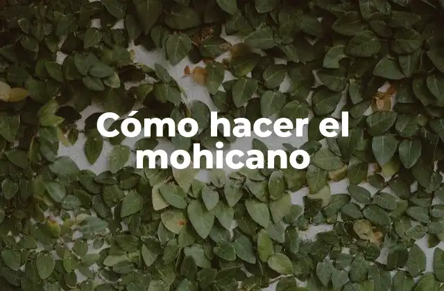¿Qué es el mohicano?